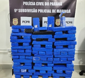 foto de Operação resulta em cinco pessoas presas e grande quantidade de drogas apreendidas pela Polícia Civil de Maringá