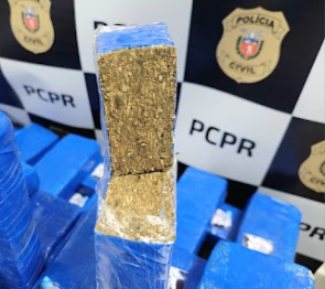 foto de Operação resulta em cinco pessoas presas e grande quantidade de drogas apreendidas pela Polícia Civil de Maringá