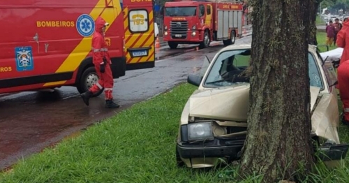 Carro bate em árvore na Av. Colombo e uma pessoa fica ferida