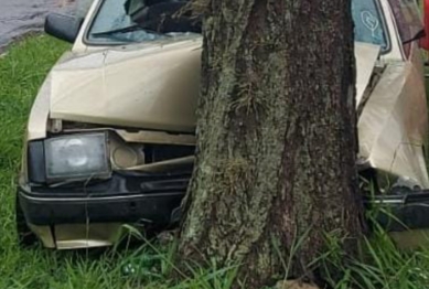 foto de Carro bate em árvore na Av. Colombo e uma pessoa fica ferida