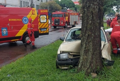 foto de Carro bate em árvore na Av. Colombo e uma pessoa fica ferida