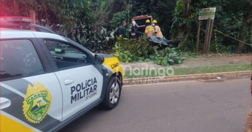 Trágico: duas pessoas morrem após carro bater em árvore