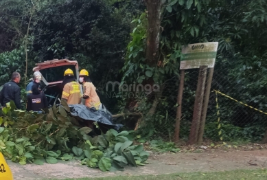 foto de Trágico: duas pessoas morrem após carro bater em árvore