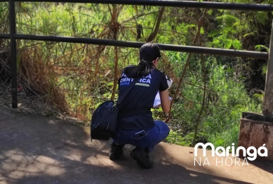 foto de Corpo de homem é encontrado em córrego de Maringá