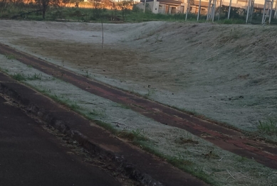 foto de Segunda-feira amanheceu gelada em Maringá com registro de geada em alguns pontos