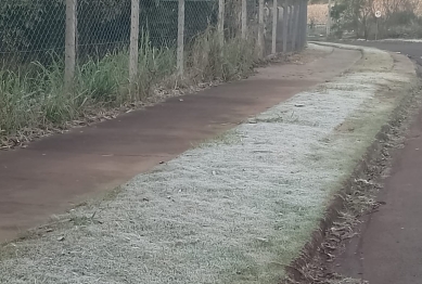 foto de Segunda-feira amanheceu gelada em Maringá com registro de geada em alguns pontos