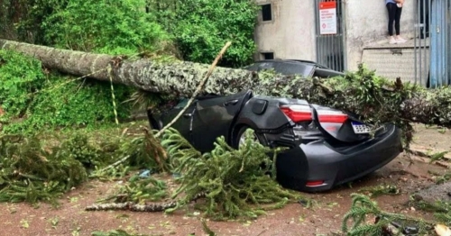 Árvore cai sobre carro durante temporal e mata homem de 40 anos