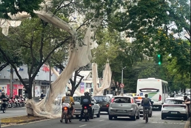 foto de Temporal que atingiu Maringá e região causou grandes estragos