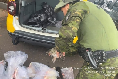 foto de Duas pessoas são presas por pesca durante a piracema no Rio Ivaí