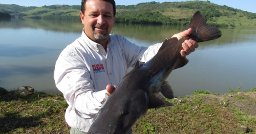 Novo ciclo do Rio Vivo vai soltar 2,6 milhões de peixes nativos nas bacias do Paraná