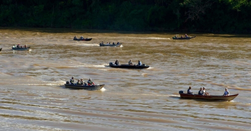 Nova fase do Rio Vivo começa com a soltura de 100 mil peixes no Rio Ivaí