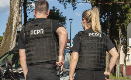 foto de Polícia Civil do Paraná apreende 50 mil peças durante operação ao Combate à Pirataria e Biopirataria